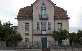 O Salgueiro